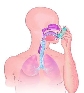 Asthmatherapie
