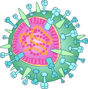 H5N1-Virus