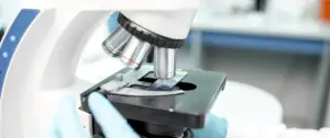 Nahaufnahme eines Labormikroskops mit Objektträger bei der medizinischen Analyse von Lungengewebe im Rahmen von Forschungsprojekten
